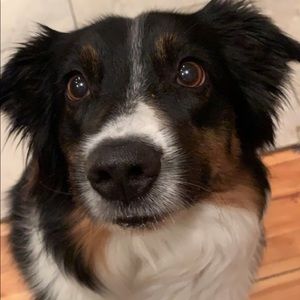 Meet your Posher, Meredith